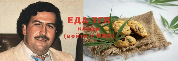 гидра Володарск