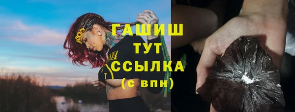 гидра Володарск