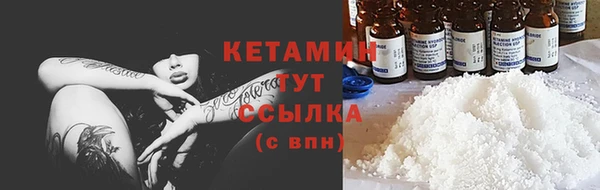 гидра Володарск