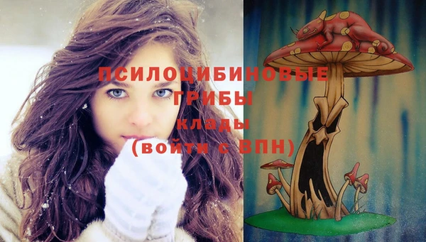 гидра Володарск
