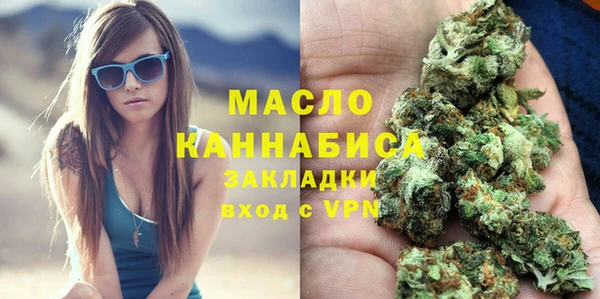 гидра Володарск