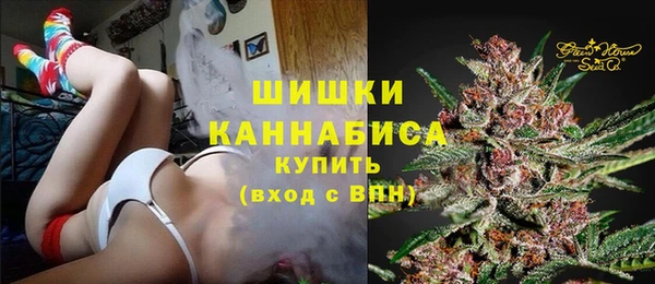 гидра Володарск
