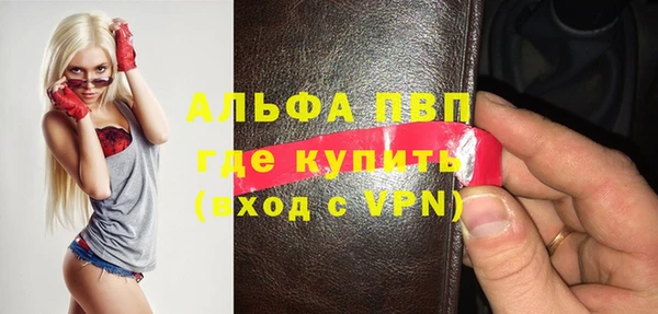 гидра Володарск