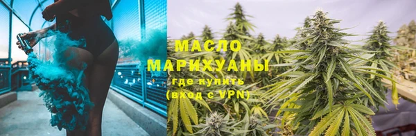 гидра Володарск